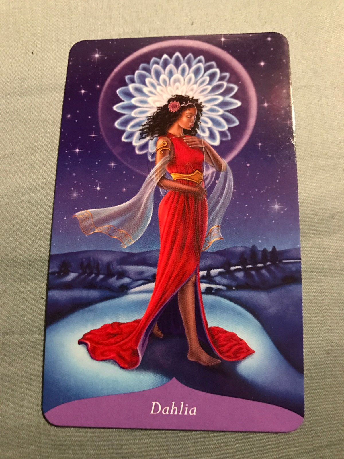 Attend To The Shadow – Oracle Reading for November 